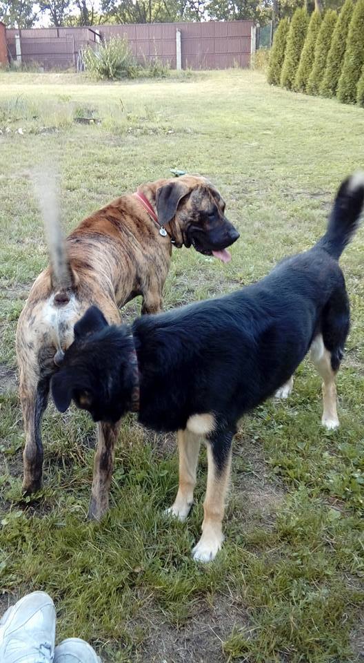 Gutek pozdrawia Wszystkich Was cieplutko <3 wraz ze swoim nowym kumplem :D